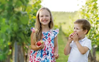 Fondssparvertrag im S-Depot <br>Flex